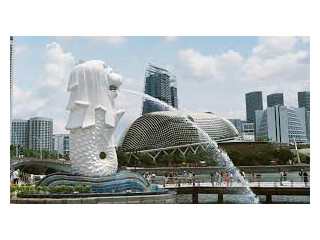 Savor Singapore: Tailored Tour Packages for Every Explorer