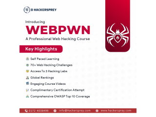 Professional web hacking course - WEBPWN
