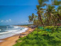 experience-paradise-goa-tour-packages-for-every-travelers-dream-small-0