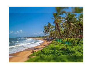Experience Paradise: Goa Tour Packages for Every Traveler's Dream