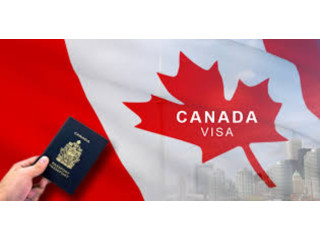 Your Pathway to Canadian Education: Navigating the Canada Student Visa Process with Elation Visa
