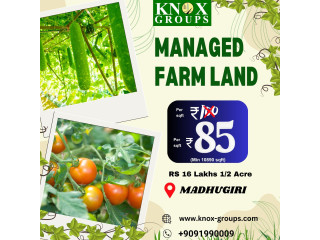 Agriculture | farm land for sale | Knox groups in Bangalore