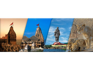 Discover Vibrant Gujarat: Explore Our Exciting Tour Packages