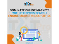 dominate-online-markets-with-itxitpros-search-engine-marketing-expertise-small-0
