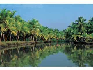 Book Kerala Tour Packages at Best Price