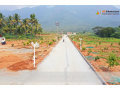 farm-agricultural-lands-for-sale-in-pannimadai-coimbatore-small-1