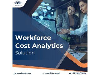 Workforce Cost Analytics Solution