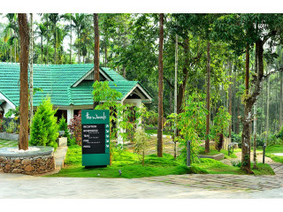 Holiday Packages in Wayanad