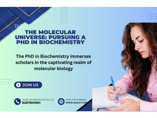 The Molecular Universe: Pursuing a PhD in Biochemistry