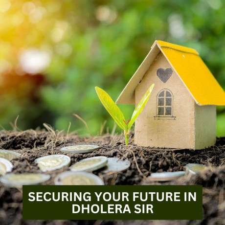 securing-your-future-in-dholera-sir-a-comprehensive-guide-to-residential-plot-investment-strategies-big-0