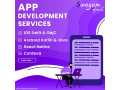 web-and-app-development-company-swayam-infotech-small-0