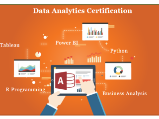 Data Analytics Training Course in Delhi.110046 by Big 4,, Best Online Data Analyst by Google and IBM, [ 100% Job with MNC] - SLA Consultants India,