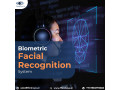 biometric-facial-recognition-system-small-0