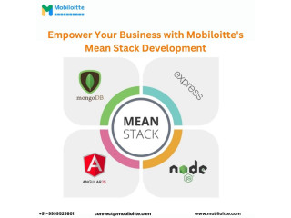 Empower Your Business with Mobiloitte's Mean Stack Development