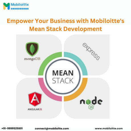 empower-your-business-with-mobiloittes-mean-stack-development-big-0