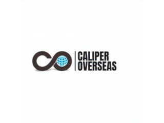 Caliper Overseas Sets the Standard in Steel Excellence