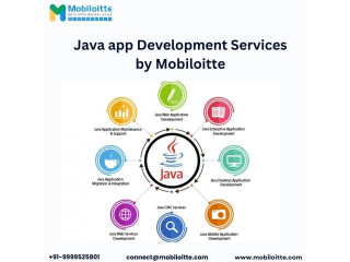 Java Application Development Solution By Mobiloitte