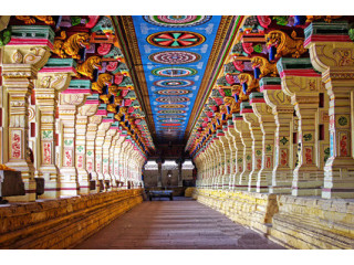 Premier Travel Experiences with Top Raja Travel Agents in Tamil Nadu