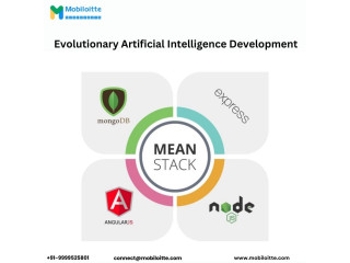 Mean Stack Development Services  by Mobiloitte