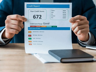 Business Credit Report